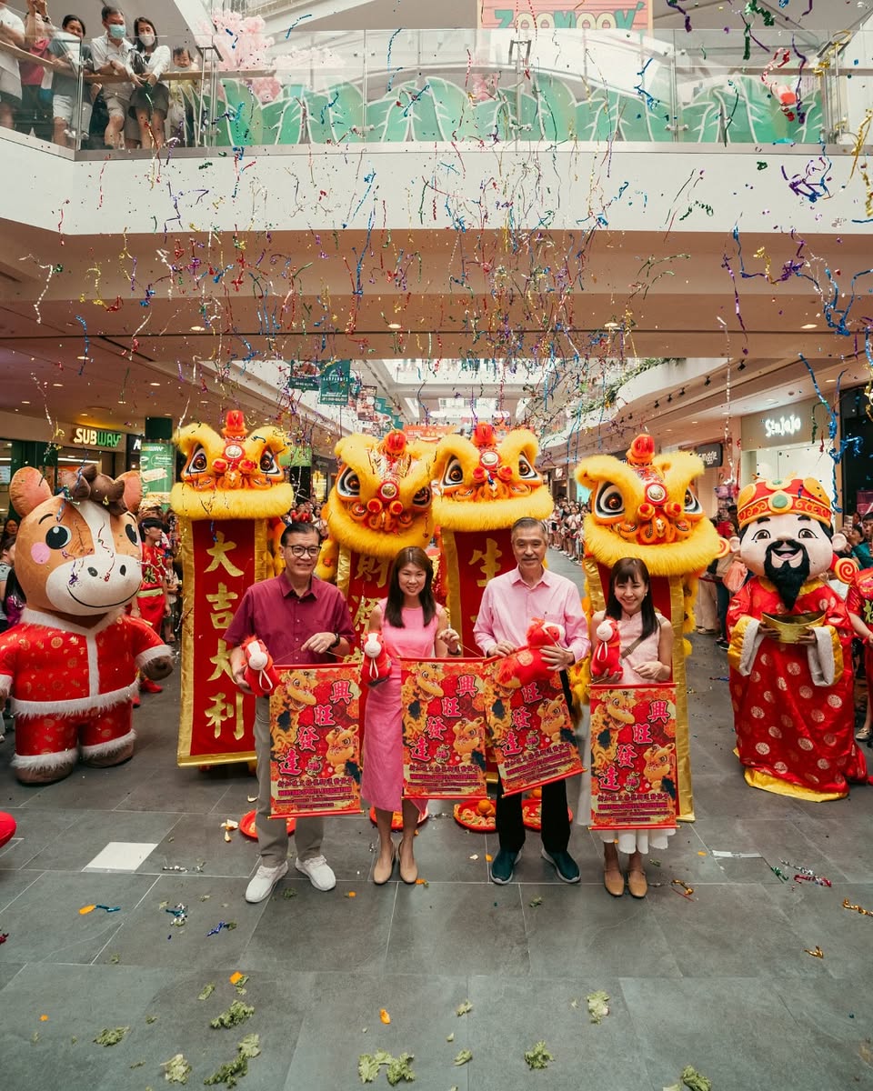 Intricate details of the ceremonial lion costume